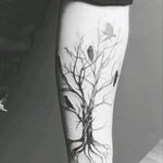 My black and grey tree with raven's. Beginning of a potential sleeve #tree #black #grey #white #forearm