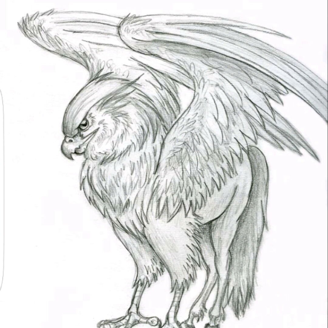 harry potter hippogriff coloring pages