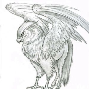 #megandreamtattooYes ... I want a hippogriff from Harry Potter :D