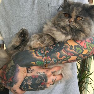 #sleeve #armsleeve #color #cat #hand