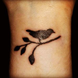 Bird on a branch on my wrist.#bird #silhouette