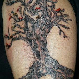 family tree, each bird represents a family member starting at top with parents and siblings of myself and my wife, midlevel myself, wife and kids, lower level our kids and their familys.color represents birth month,crown on bird represents family members who have passed on.#tree #familytree #sheilanorris  #greendragon