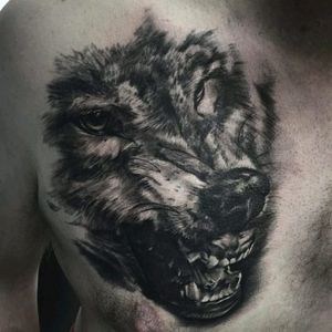 My first tattoo done on 30th August at Human Canvas Studio in Peterborough, England. #wolf #blackandgrey #first #realisticanimal #realistic