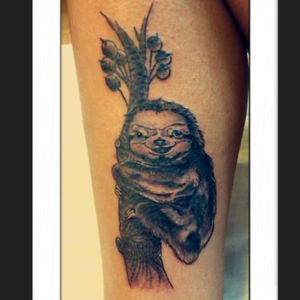 My little realistic sloth done in lisboa ink ❤ #sloth #slothtattoos #slothtattoo #slothchief #slothdesign #animal #animalart