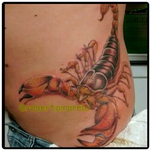 Esse aqui👊 dorzinha boa rsrsrs obrigada Zé🙏 e minha evolução continua... #escorpiao #escorpión #InkTattoo #scorpion #tats #tattoocolors #realismo #realismocolorido #Tattoodo #robertamarela #TatuadoraBrasileira #robertanogueira