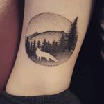 Done by Peppe Galla at ADHD. Inspired by similar style tattoos but created one of a kind by Peppe. #Cork #tattoo #circletattoo #dotwork #blackwork #fox #trees #forest #scenery #mountain