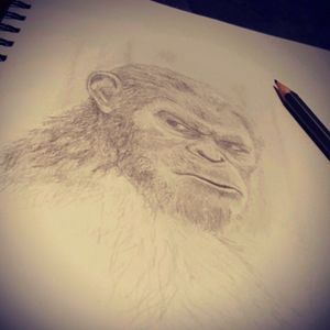 A tattoo design of Ceasar from Planet of the Apes #drawings #tattoodrawing #apes #tattoo #tattoo_artist #designs