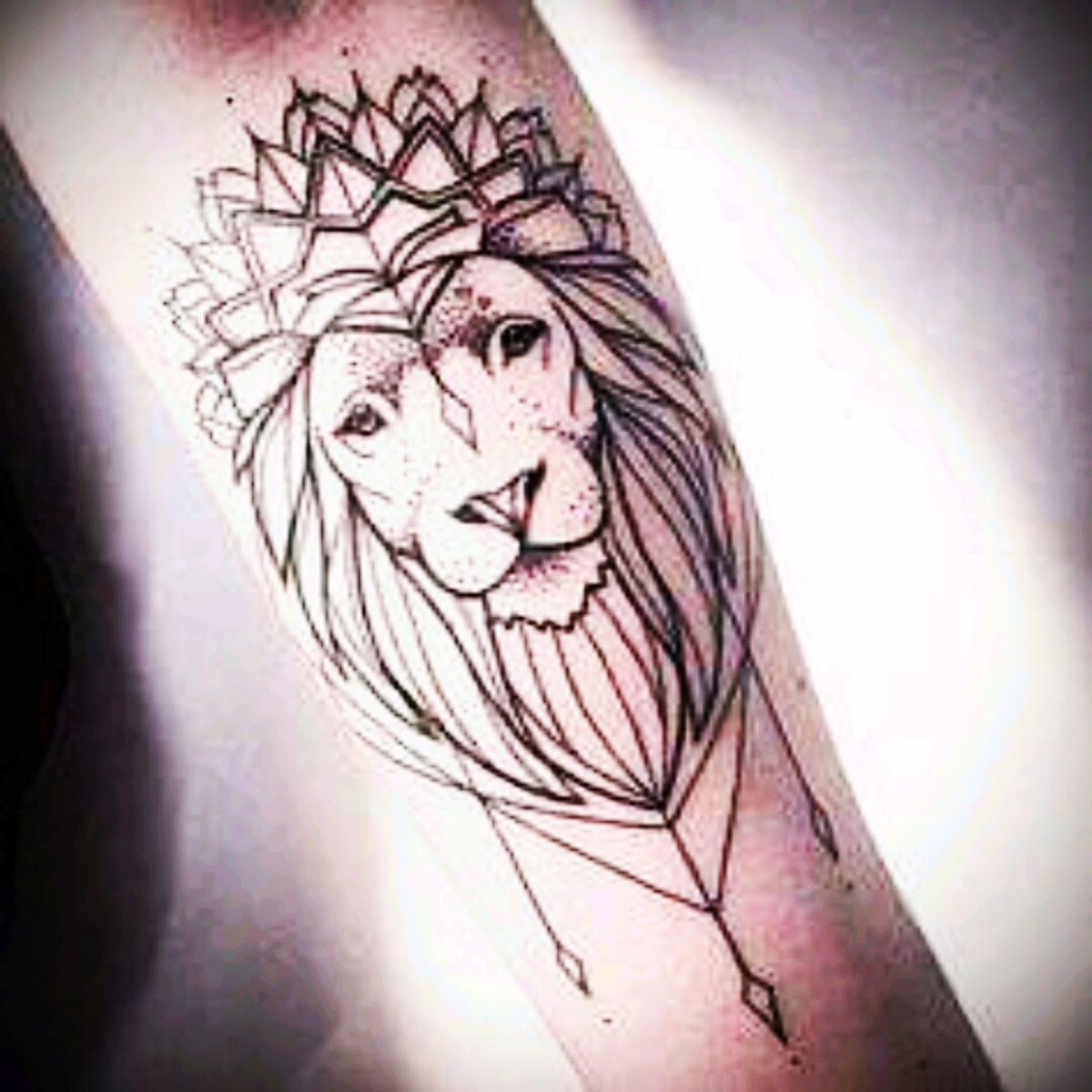 Татуировка Льва на предплечье для девушки