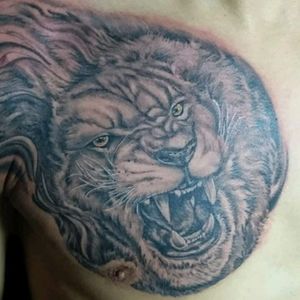 Lion Face Black and grey done Whit kaco Tattoo machine. #tattoo #tattoos #blackandgrey #tatuajes #liontattoo