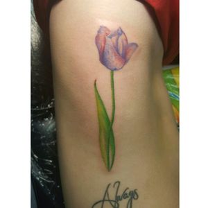 #tulip #11 #always #1