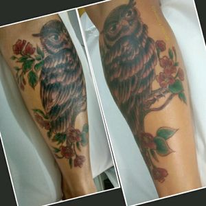 Da primeira parte da tatuagem da Paula, agradeço a confiança e a liberdade🙏🐘🎨💉#owltattoo #flores #flowers  #artwork #owl  #coruja #inked  #art #arttattoo  #robertanogueira #mogidascruzes #robertamarela  #sptattoo