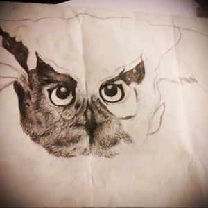 An owl i began yesterday