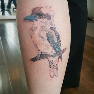 Watercolour kookaburra based on a painting by Denise Faulkner - tattooed by Kat Clarke