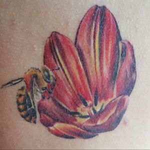 Healed #tulip #bee #color