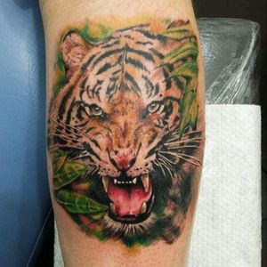 Tiger color tattoo. #EdisonHuerfanoTattoo #tattootiger #tattoocolor #tattoocolombia #worldart #worldtattoo #tattooleg #tattooanimals #tattooist #tattoorealism #eternal #cheyennefamily #cheyennetattooequipament