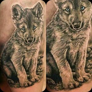 Wolf cub tattoo#EdisonHuerfanoTattoo #wolftattoo #tattoowolf #wolfcub #tattoist #worldart #tattooworld #animalart #tattooanimals #tattooblackandgrey #tattooblueyes #tattoorealism #eternalink  #cheyennepenhawk #cheyennetattooequipment #colombiaink