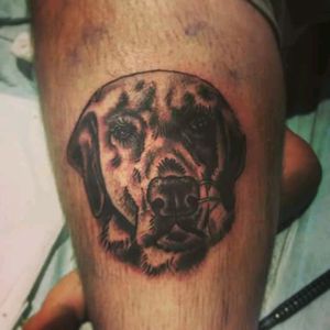 Dog portrait #tattoos