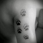 #FrikInk #CDMX #wolf #lobo #garras #arm_tattoo