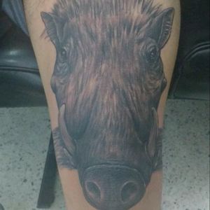 @albenisalonso #jabali #berrugoso ##blackandgrey #albenisalonso #following #tattooinked #claroscuro