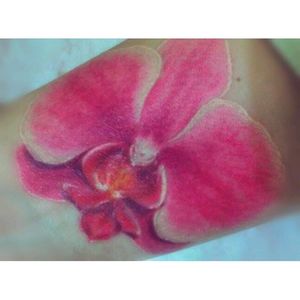 #tattoo #forearmtatto #orchid #orchidtattoo
