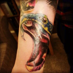 Sleeve is almost finished this is my latest edition. #snake #mgs #metalgear #metalgearsolid #liqudsnake #liquid #arm #arm_tattoo #ps #psone #Sony #konami #playstation #PlayStationTattoos