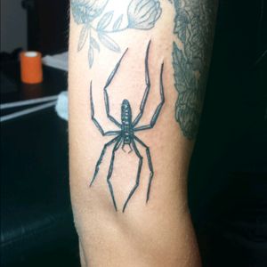 Spider #spider #blackwork Guatemala
