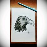Eagle sketch tattoo.