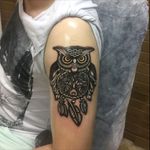 Element tattoo studio  Eskişehir #tattoo #tattoos #tattoostudio #tattooartis #tattoolife #tattoolifestyle #owl #owltatttoo