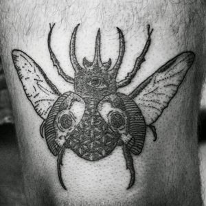 Dotwork beetle tattoo #WeLove