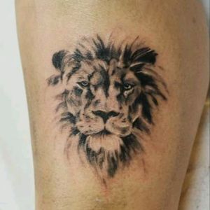 #lion_tattoo