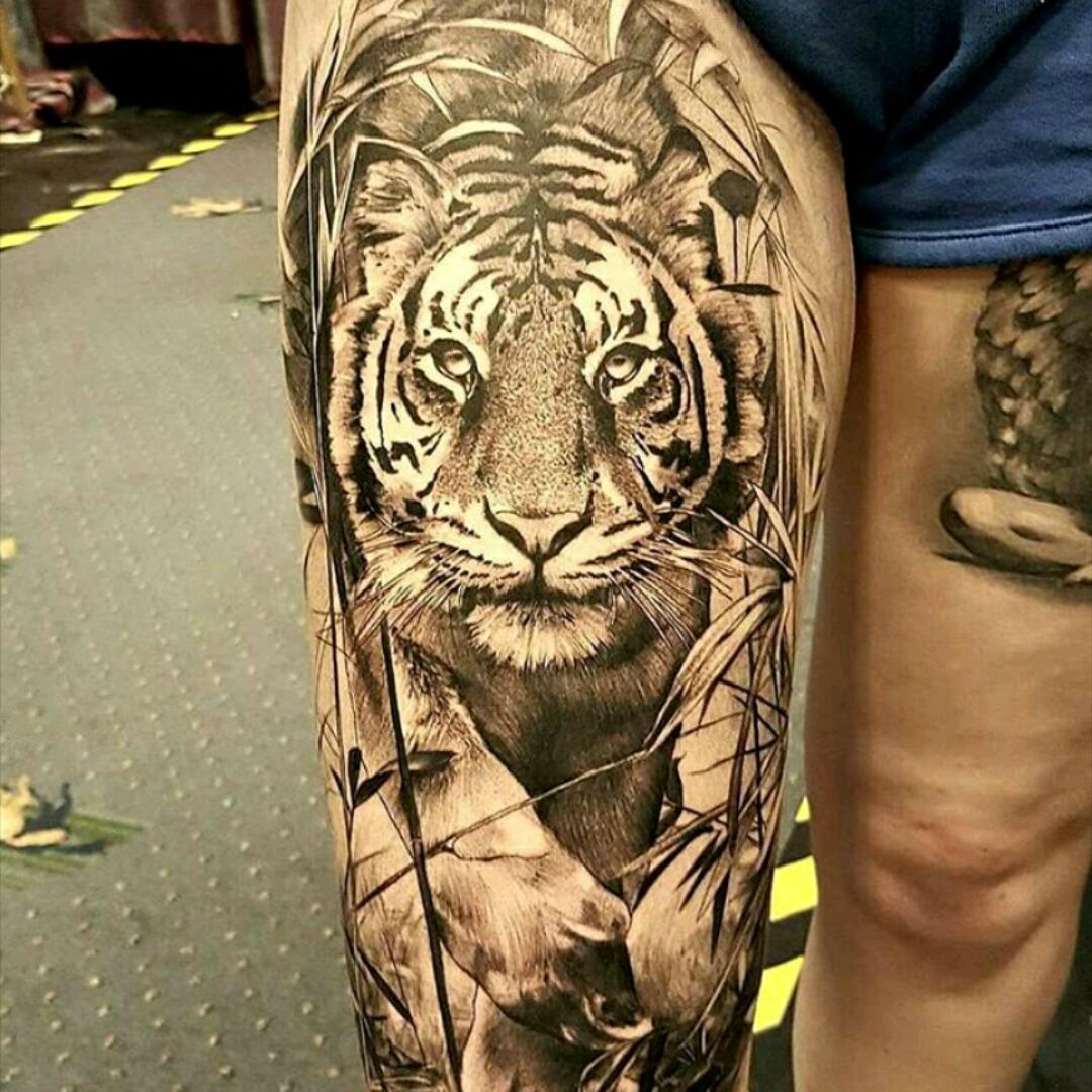 Tiger leg tattoo  Custom Quality color tattoos  ONE DAY Tattoo Studio