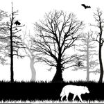 Something I put together with GIMP (freeware Photoshop). Even if they are very popular, I love the black woodland silhouettes so I thought I'd design one myself but add my own elements to it. I loved the design so much that I intend to get this as my next tattoo, wrapped around my left lower leg. #design #owndesign #Silhouettes #silhoutte #gimp #photoshop #wolf #bats #trees #tree #woodland #wildlife #Black
