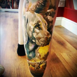 Calf weimaraner tattoo Done at Inkpire Basingstoke