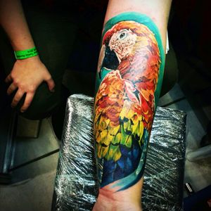 #tattoo #tattooforgirl #tattoedgirl #ink #inked #inkedgirl #polishgirl #tattoooftheday #parrot #animal #jungle #colour #realink #realistic #lovetattoo #lovelife #loveink #colorful