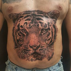 #tiger #tattoo #tattoo_artist @ArmAtattoo #ink