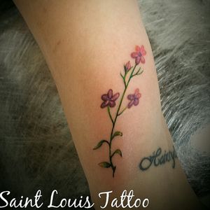 #saintlouistattoo #saintlouis #luistattoo69 #inked #tanapele #tattooedgirls #tattoolife #delicatetattoos #ink #friends #tattooarte #blackwork #linework #pfmachines #electricink #flowers