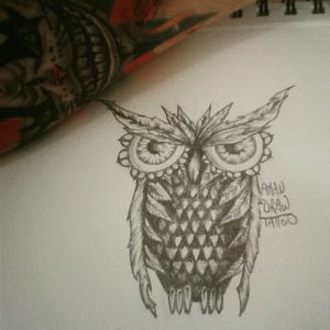 Small Owl.
