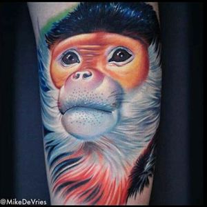 #MikeDeVries #Animal #Monkey #Realismo #Photorealism #Portrait #Color