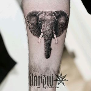 Janis vii, element tattoo oslo ;) #elephant #realistic