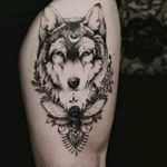 👌 #wolf #chest
