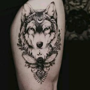 👌#wolf #chest