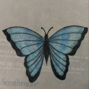 A butterfly I drew today :)