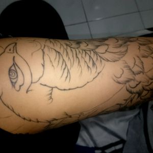 My seventh tattoo. Unfinished #peacock.