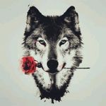 #wolf #lobo