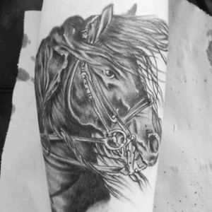#first#tattoo#horse