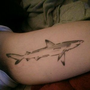 My 1st tattoo, sketch of a black tip reef shark on inner bicep #shark #sketch #greyscale #flamineighttattoo