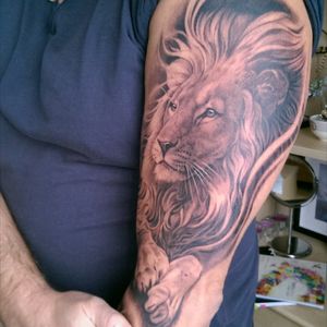 My lion by Alex Nunez!