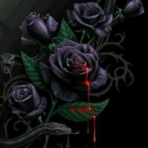 My next tattoo I want to be of Gothic roses with a skull hidden within the roses