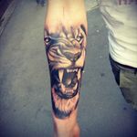 #lion #tattooartist #black_addicts #tattoomagazine #tattoos_alday #artistica #art_collective #klan19tattoo #milanotattoo #MI