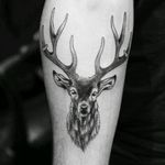 Great saturday evening with Nathan #tatouage #toulouse #cerf #avantbras #artcoretattoos #sebastienodd #tattoo #deer #horns